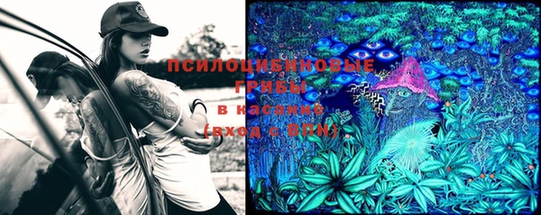 тгк Козельск