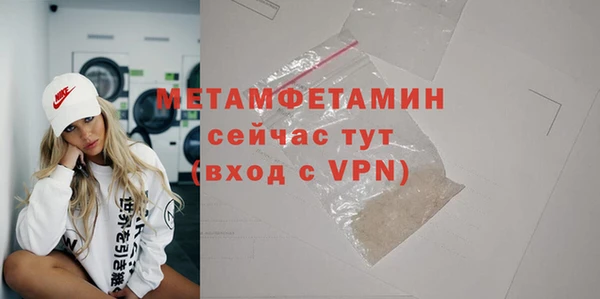 прущие грибы Коряжма