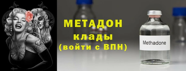 прущие грибы Коряжма