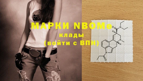 прущие грибы Коряжма
