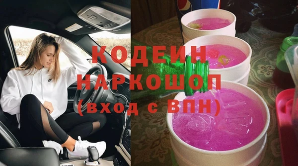 прущие грибы Коряжма