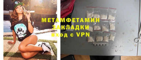 прущие грибы Коряжма