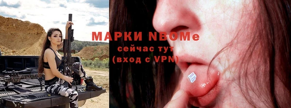 прущие грибы Коряжма